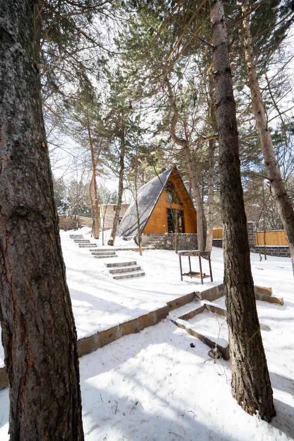 Woodland Cottages تساجكادزور المظهر الخارجي الصورة