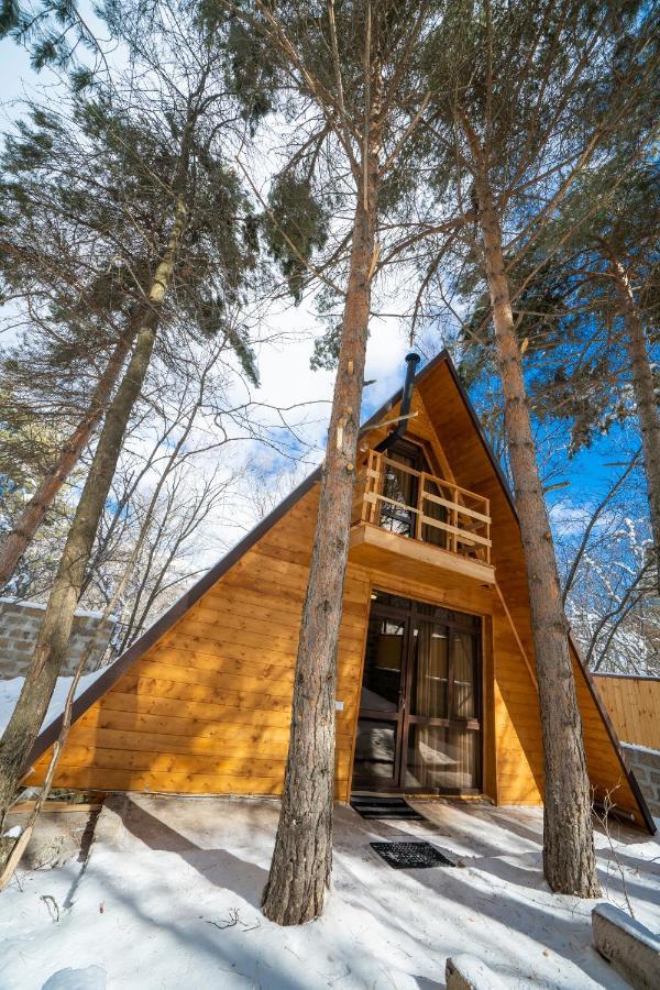 Woodland Cottages تساجكادزور المظهر الخارجي الصورة